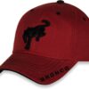 Ford Bronco Racing Crimson Adjustable Fit Baseball Cap