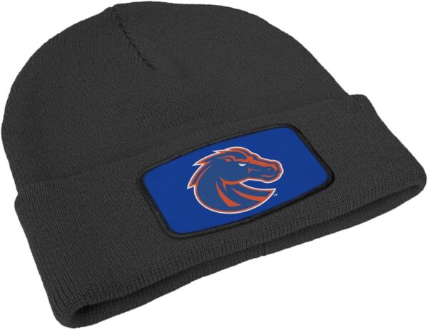 Official Collegiate Primary Logo Sublimated Patch Knit Beani...