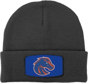 Official Collegiate Primary Logo Sublimated Patch Knit Beani...