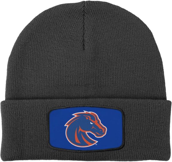Official Collegiate Primary Logo Sublimated Patch Knit Beani...