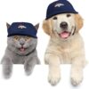 Littlearth Denver Broncos NFL Pet Baseball Hat, Extra Small