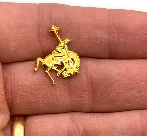 StockPins Bucking Bronco Lapel Pin – Handcrafted Western Hat...