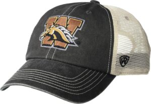 Top of the World Men's Adjustable Vintage Team Icon Hat