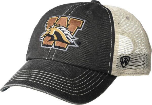 Top of the World Men's Adjustable Vintage Team Icon Hat