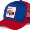 Football Fan Patch Trucker Hat - Netted Snapback Baseball Ca...