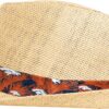 FOCO Men's NFL Team Logo Trilby Straw Hat