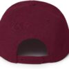 Monstera Classic Gaming Controller Snapback Hat