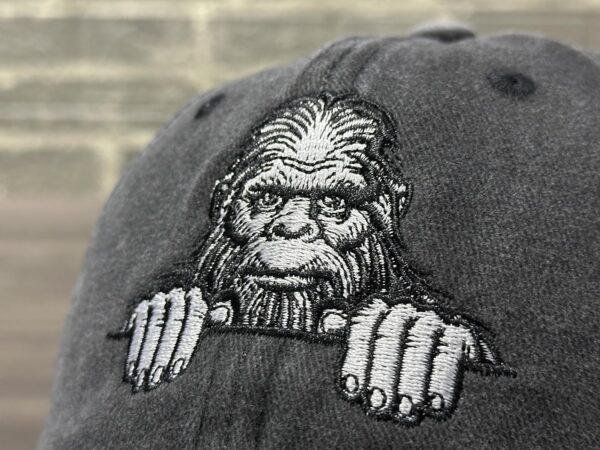Embroidered Baseball Hats for Men and Women