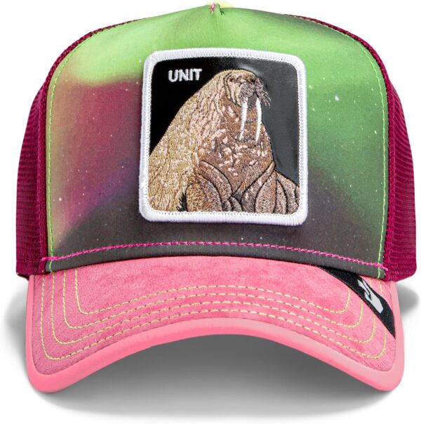 Goorin Bros. Arctic Sky Collection Trucker Hat