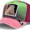 Goorin Bros. Arctic Sky Collection Trucker Hat