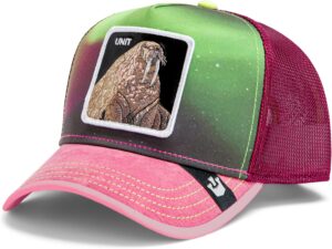 Goorin Bros. Arctic Sky Collection Trucker Hat