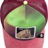 Goorin Bros. Arctic Sky Collection Trucker Hat